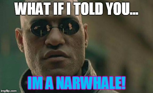 Matrix Morpheus | WHAT IF I TOLD YOU... IM A NARWHALE! | image tagged in memes,matrix morpheus | made w/ Imgflip meme maker