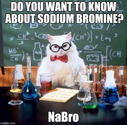 Chemistry Cat Meme | DO YOU WANT TO KNOW ABOUT SODIUM BROMINE? NaBro | image tagged in memes,chemistry cat | made w/ Imgflip meme maker