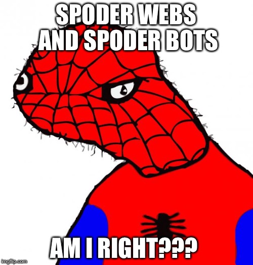 Spoderman | SPODER WEBS AND SPODER BOTS AM I RIGHT??? | image tagged in spoderman | made w/ Imgflip meme maker