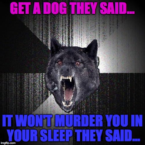 Insanity Wolf | GET A DOG THEY SAID... IT WON'T MURDER YOU IN YOUR SLEEP THEY SAID... | image tagged in memes,insanity wolf | made w/ Imgflip meme maker