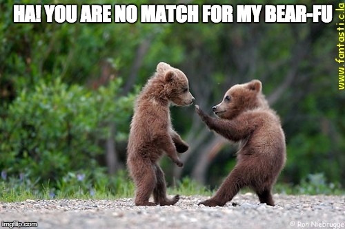 HA! YOU ARE NO MATCH FOR MY BEAR-FU | made w/ Imgflip meme maker