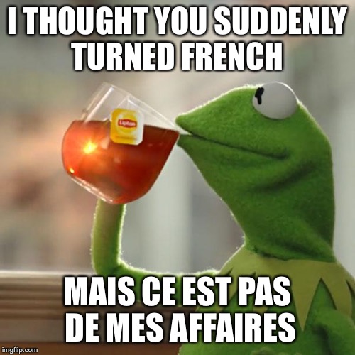 But That's None Of My Business Meme | I THOUGHT YOU SUDDENLY TURNED FRENCH MAIS CE EST PAS DE MES AFFAIRES | image tagged in memes,but thats none of my business,kermit the frog | made w/ Imgflip meme maker