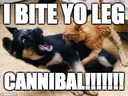 I BITE YO LEG CANNIBAL!!!!!!! | image tagged in funny | made w/ Imgflip meme maker