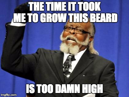 Too Damn High Meme | THE TIME IT TOOK ME TO GROW THIS BEARD IS TOO DAMN HIGH | image tagged in memes,too damn high | made w/ Imgflip meme maker