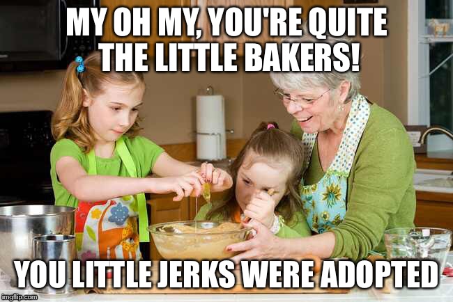 Grandma's Little Jerks | MY OH MY, YOU'RE QUITE THE LITTLE BAKERS! YOU LITTLE JERKS WERE ADOPTED | image tagged in grandma,adoption,kids | made w/ Imgflip meme maker