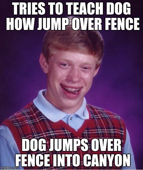 Bad Luck Brian Meme | TRIES TO TEACH DOG HOW JUMP OVER FENCE DOG JUMPS OVER FENCE INTO CANYON | image tagged in memes,bad luck brian | made w/ Imgflip meme maker