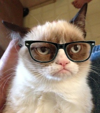 Hipster Grumpy Cat Blank Meme Template