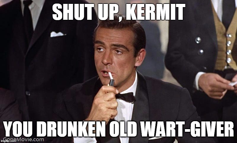 Sean Connery | SHUT UP, KERMIT YOU DRUNKEN OLD WART-GIVER | image tagged in sean connery | made w/ Imgflip meme maker
