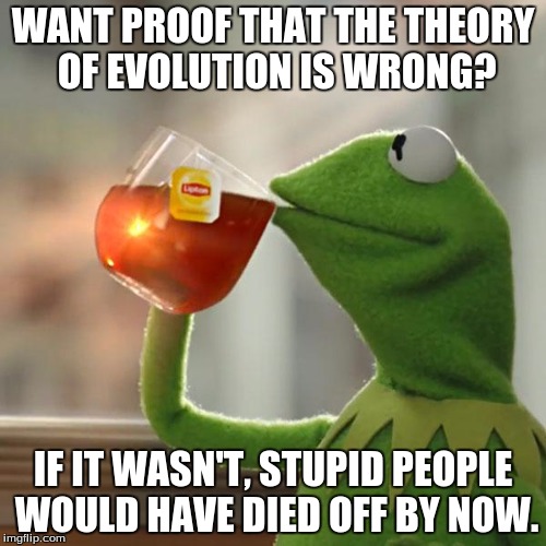 God has a sense of humor | WANT PROOF THAT THE THEORY OF EVOLUTION IS WRONG? IF IT WASN'T, STUPID PEOPLE WOULD HAVE DIED OFF BY NOW. | image tagged in memes,but thats none of my business,kermit the frog,religion,evolution,stupid people | made w/ Imgflip meme maker