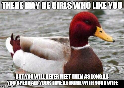 Malicious Advice Mallard Meme | THERE MAY BE GIRLS WHO LIKE YOU BUT YOU WILL NEVER MEET THEM AS LONG AS YOU SPEND ALL YOUR TIME AT HOME WITH YOUR WIFE | image tagged in memes,malicious advice mallard,AdviceAnimals | made w/ Imgflip meme maker
