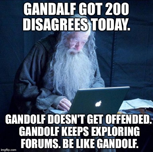 Computer Gandalf | GANDALF GOT 200 DISAGREES TODAY. GANDOLF DOESN'T GET OFFENDED. GANDOLF KEEPS EXPLORING FORUMS. BE LIKE GANDOLF. | image tagged in computer gandalf | made w/ Imgflip meme maker