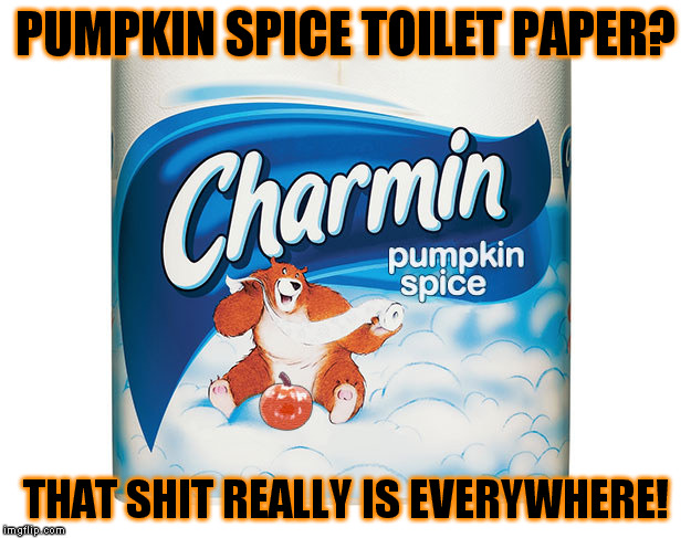 Pumpkin Spice Toilet Paper | PUMPKIN SPICE TOILET PAPER? THAT SHIT REALLY IS EVERYWHERE! | image tagged in pumpkin,toilet paper,shit,autumn | made w/ Imgflip meme maker