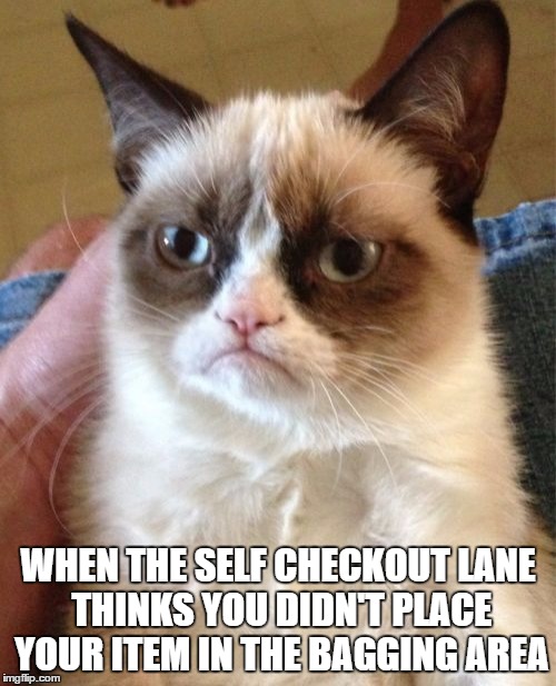 Grumpy Cat Meme | WHEN THE SELF CHECKOUT LANE THINKS YOU DIDN'T PLACE YOUR ITEM IN THE BAGGING AREA | image tagged in memes,grumpy cat | made w/ Imgflip meme maker