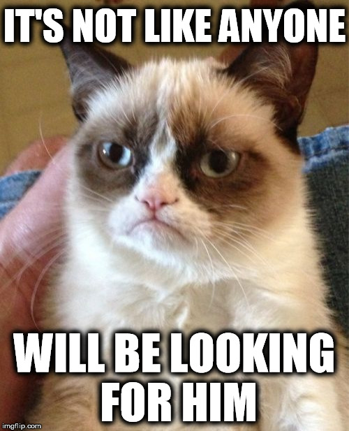 Grumpy Cat Meme | IT'S NOT LIKE ANYONE WILL BE LOOKING FOR HIM | image tagged in memes,grumpy cat | made w/ Imgflip meme maker