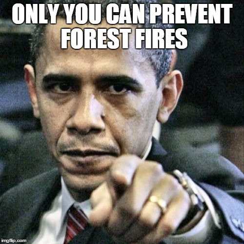 Pissed Off Obama | ONLY YOU CAN PREVENT FOREST FIRES | image tagged in memes,pissed off obama | made w/ Imgflip meme maker