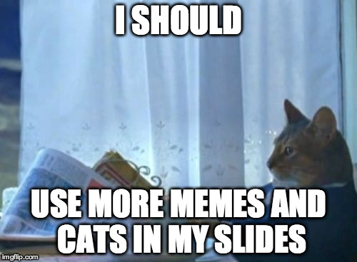 I Should Buy A Boat Cat Meme | I SHOULD USE MORE MEMES AND CATS IN MY SLIDES | image tagged in memes,i should buy a boat cat | made w/ Imgflip meme maker