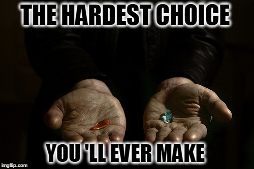 choice  | THE HARDEST CHOICE YOU 'LL EVER MAKE | image tagged in choose wisely | made w/ Imgflip meme maker