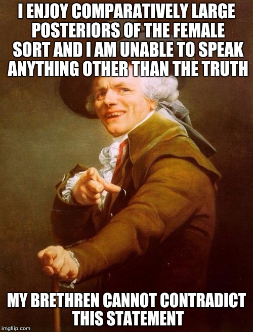 Baby Got Back | I ENJOY COMPARATIVELY LARGE POSTERIORS OF THE FEMALE SORT AND I AM UNABLE TO SPEAK ANYTHING OTHER THAN THE TRUTH MY BRETHREN CANNOT CONTRADI | image tagged in memes,joseph ducreux,lyrics | made w/ Imgflip meme maker