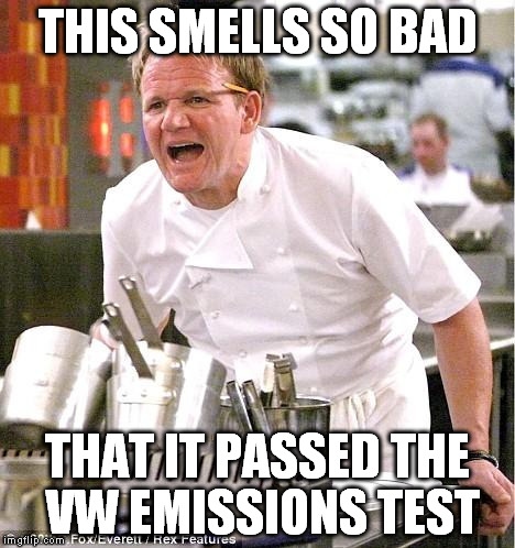 Chef Gordon Ramsay | THIS SMELLS SO BAD THAT IT PASSED THE VW EMISSIONS TEST | image tagged in memes,chef gordon ramsay | made w/ Imgflip meme maker