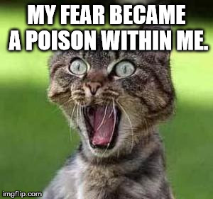 scared cat | MY FEAR BECAME A POISON WITHIN ME. | image tagged in scared cat | made w/ Imgflip meme maker