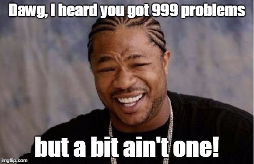 Yo Dawg Heard You Meme | Dawg, I heard you got 999 problems but a bit ain't one! | image tagged in memes,yo dawg heard you | made w/ Imgflip meme maker