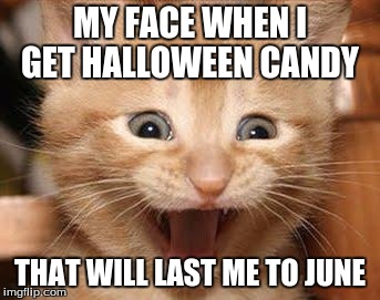 Excited Cat | MY FACE WHEN I GET HALLOWEEN CANDY THAT WILL LAST ME TO JUNE | image tagged in memes,excited cat | made w/ Imgflip meme maker