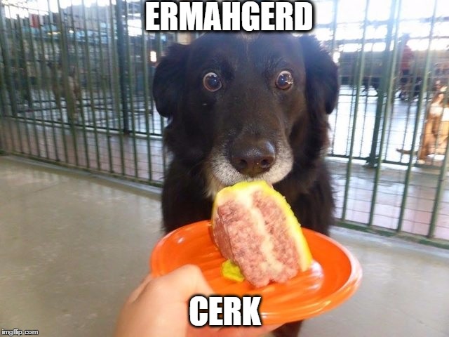 Collie Ermahgerd | ERMAHGERD CERK | image tagged in cake,the most interesting dog in the world | made w/ Imgflip meme maker
