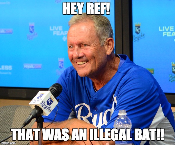 illegal bat | HEY REF! THAT WAS AN ILLEGAL BAT!! | image tagged in illegal bat,seattle seahawks,nfl referee,detroit lions | made w/ Imgflip meme maker