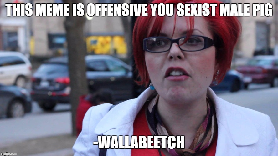 Feminazi | THIS MEME IS OFFENSIVE YOU SEXIST MALE PIG -WALLABEETCH | image tagged in feminazi | made w/ Imgflip meme maker