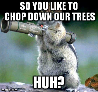 Bazooka Squirrel | SO YOU LIKE TO CHOP DOWN OUR TREES HUH? | image tagged in memes,bazooka squirrel | made w/ Imgflip meme maker