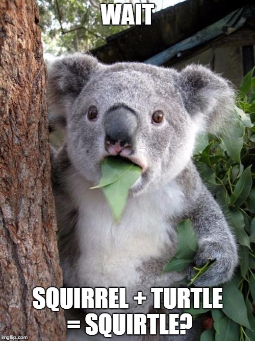 Surprised Koala | WAIT SQUIRREL + TURTLE = SQUIRTLE? | image tagged in memes,surprised koala | made w/ Imgflip meme maker
