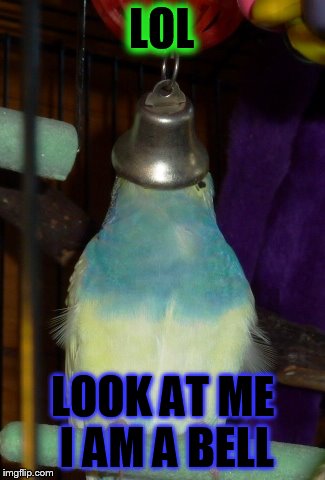LOL LOOK AT ME I AM A BELL | image tagged in cock with bell | made w/ Imgflip meme maker