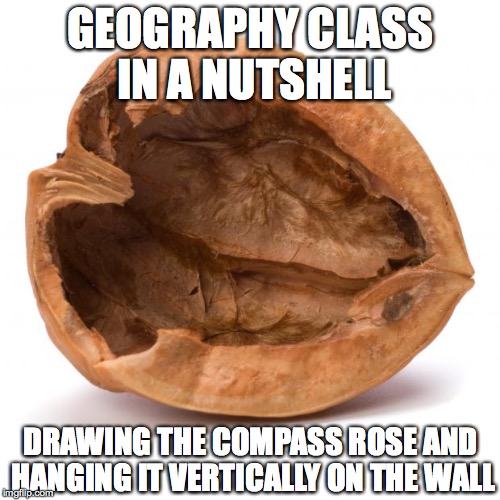 seriously? | GEOGRAPHY CLASS IN A NUTSHELL DRAWING THE COMPASS ROSE AND HANGING IT VERTICALLY ON THE WALL | image tagged in nutshell | made w/ Imgflip meme maker