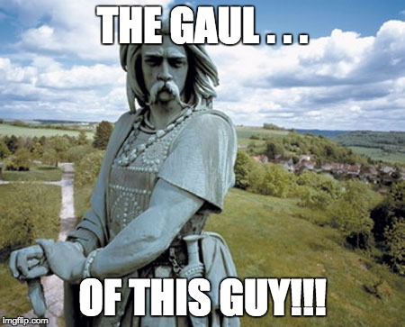 vercingetorix | THE GAUL . . . OF THIS GUY!!! | image tagged in vercingetorix | made w/ Imgflip meme maker