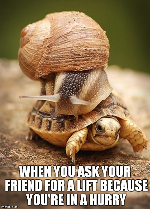 Life in the fast lane | WHEN YOU ASK YOUR FRIEND FOR A LIFT BECAUSE YOU'RE IN A HURRY | image tagged in slow day,fast and furious,slug life,turtle meme | made w/ Imgflip meme maker