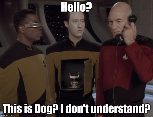 Monday morning on the U.S.S. Enterprise | Hello? This is Dog? I don't understand? | image tagged in android | made w/ Imgflip meme maker