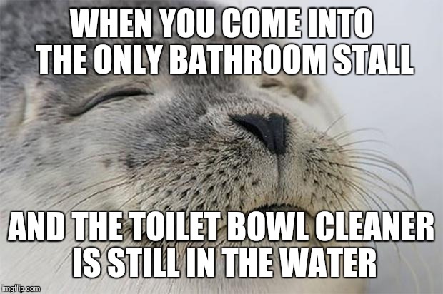 Satisfied Seal | WHEN YOU COME INTO THE ONLY BATHROOM STALL AND THE TOILET BOWL CLEANER IS STILL IN THE WATER | image tagged in memes,satisfied seal | made w/ Imgflip meme maker