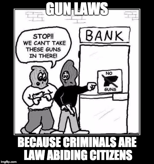 For the Last Time ~ Gun Laws Don't Work | GUN LAWS BECAUSE CRIMINALS ARE LAW ABIDING CITIZENS | image tagged in for the last time  gun laws don't work | made w/ Imgflip meme maker