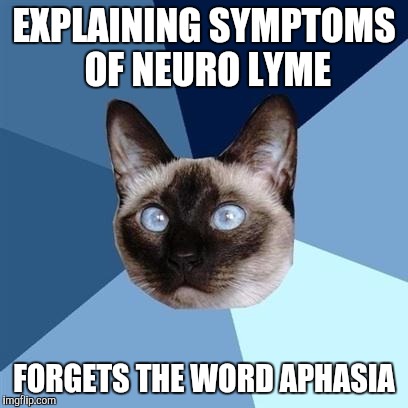 Chronic illness cat | EXPLAINING SYMPTOMS OF NEURO LYME FORGETS THE WORD APHASIA | image tagged in chronic illness cat | made w/ Imgflip meme maker