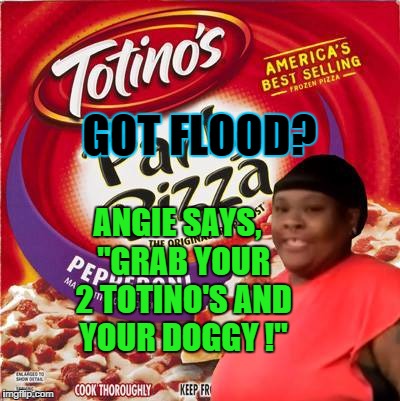 Grab your 2 Totino's and your doggy! | GOT FLOOD? ANGIE SAYS, "GRAB YOUR 2 TOTINO'S AND YOUR DOGGY !" | image tagged in scflood2015,flood2015,totinos,angie,scnowclosed,prayforsc | made w/ Imgflip meme maker