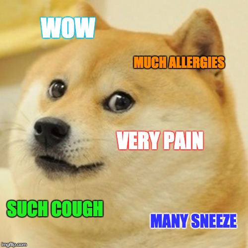 Doge Meme | WOW MUCH ALLERGIES VERY PAIN SUCH COUGH MANY SNEEZE | image tagged in memes,doge | made w/ Imgflip meme maker