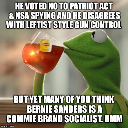 But That's None Of My Business Meme | HE VOTED NO TO PATRIOT ACT & NSA SPYING AND HE DISAGREES WITH LEFTIST STYLE GUN CONTROL BUT YET MANY OF YOU THINK BERNIE SANDERS IS A COMMIE | image tagged in memes,but thats none of my business,kermit the frog | made w/ Imgflip meme maker