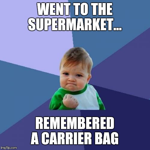 Success Kid Meme | WENT TO THE SUPERMARKET... REMEMBERED A CARRIER BAG | image tagged in memes,success kid | made w/ Imgflip meme maker