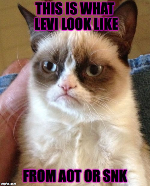 Grumpy Cat Meme | THIS IS WHAT LEVI LOOK LIKE FROM AOT OR SNK | image tagged in memes,grumpy cat | made w/ Imgflip meme maker