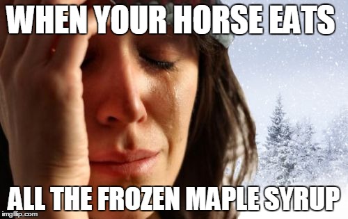 1st World Canadian Problems | WHEN YOUR HORSE EATS ALL THE FROZEN MAPLE SYRUP | image tagged in memes,1st world canadian problems | made w/ Imgflip meme maker