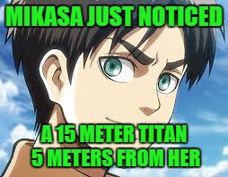 MIKASA JUST NOTICED A 15 METER TITAN 5 METERS FROM HER | image tagged in eren | made w/ Imgflip meme maker