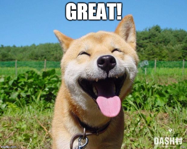 Happy Dog | GREAT! | image tagged in happy dog | made w/ Imgflip meme maker
