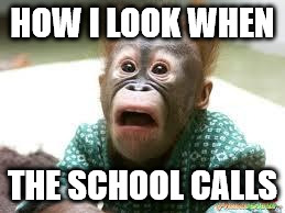 scared ape | HOW I LOOK WHEN THE SCHOOL CALLS | image tagged in scared ape | made w/ Imgflip meme maker