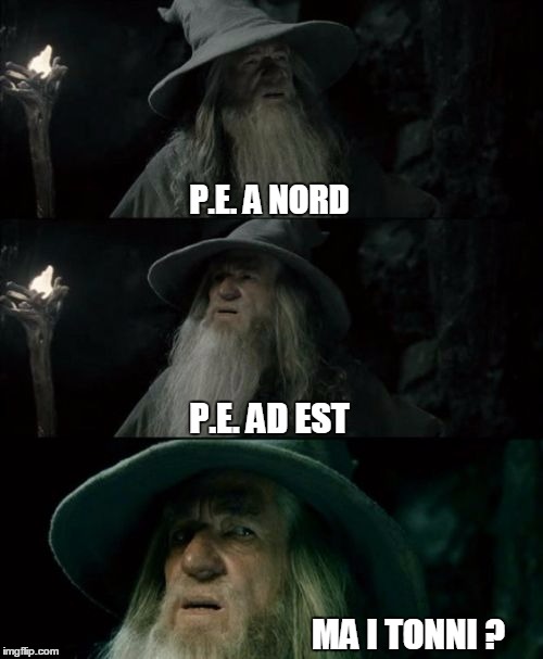 Confused Gandalf Meme | P.E. A NORD P.E. AD EST MA I TONNI ? | image tagged in memes,confused gandalf | made w/ Imgflip meme maker