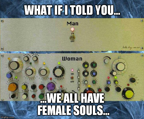 Venus & Mars | WHAT IF I TOLD YOU... ...WE ALL HAVE FEMALE SOULS... | image tagged in venus  mars | made w/ Imgflip meme maker